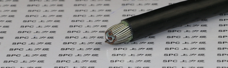 PVVP22聚氯乙烯絕緣聚氯乙烯護(hù)套編織屏蔽鋼帶鎧裝信號(hào)電纜
